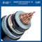 كابل الطاقة المدرع AWA CWS مغطى بالنحاس MV 1x500Mm2 IEC 60502-2