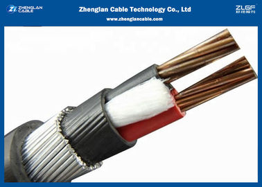 0.6 / 1KV ثنائي النواة XLPE كابلات الطاقة المعزولة （CU / XLPE / LSZH / DSTA القسم الاسمي ： 2 * 1.5 ~ 2 * 400mm²